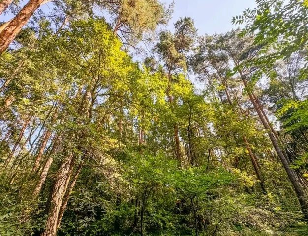 участок  в КП Успенские Дачи УПДП, 20 км от МКАД