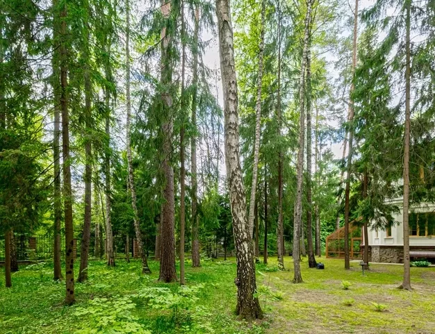 дом  в КП Грибово, 12 км от МКАД