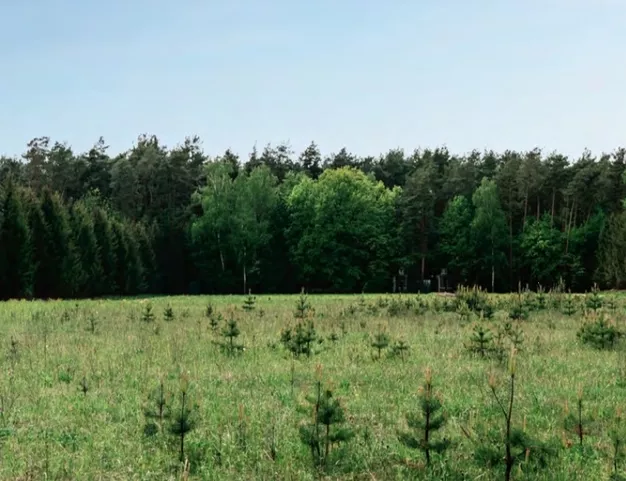 участок  в КП Раздоры, 5 км от МКАД