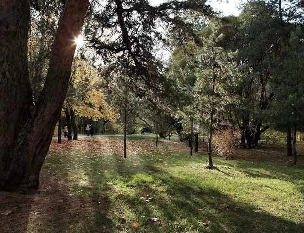 участок  в КП Серебряный Бор, 1 км от МКАД