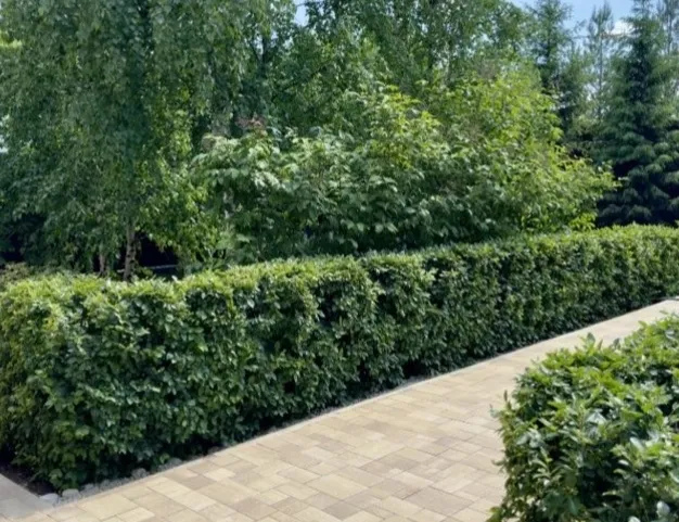 дом  в КП Обушково, 25 км от МКАД