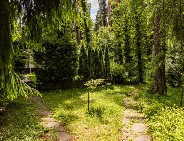 дом  в КП Сосновый Бор, 23 км от МКАД