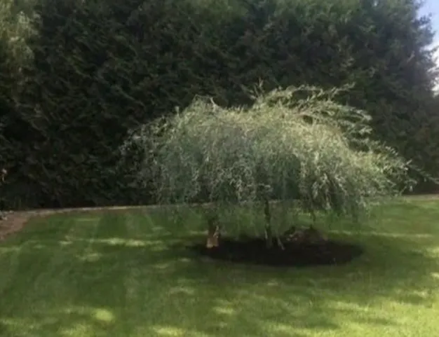 дом  в КП Таганьково-5, 20 км от МКАД