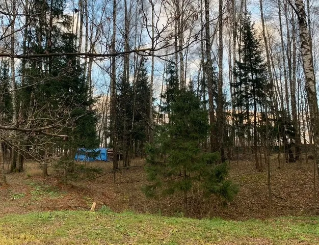 участок  в КП Лесные Зори, 25 км от МКАД