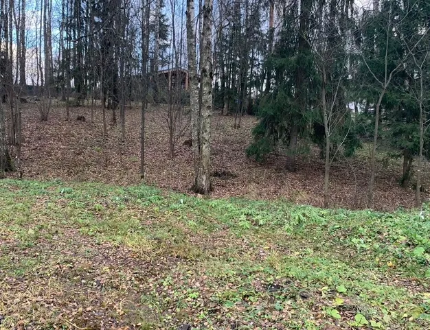 участок  в КП Лесные Зори, 25 км от МКАД