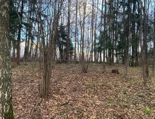 участок  в КП Лесные Зори, 25 км от МКАД