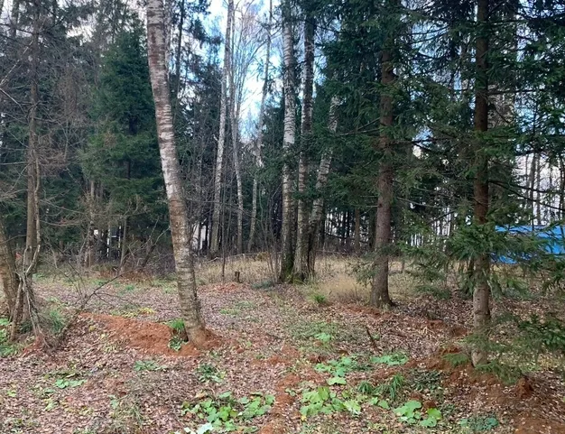 участок  в КП Лесные Зори, 25 км от МКАД