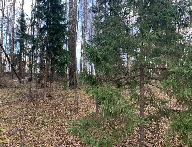 участок  в КП Лесные Зори, 25 км от МКАД