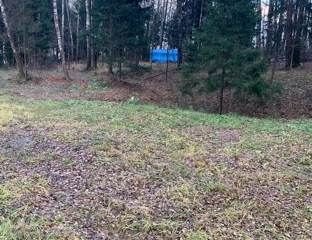 участок  в КП Лесные Зори, 25 км от МКАД