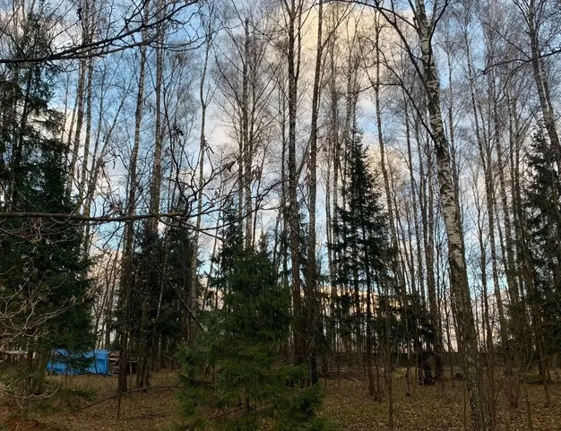 участок  в КП Лесные Зори, 25 км от МКАД
