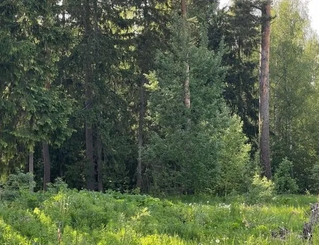 участок  в КП СНТ Усадьба, 20 км от МКАД