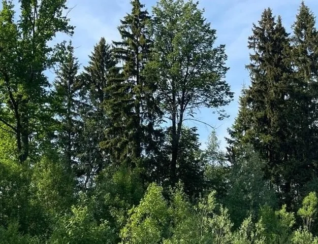 участок  в КП СНТ Усадьба, 20 км от МКАД