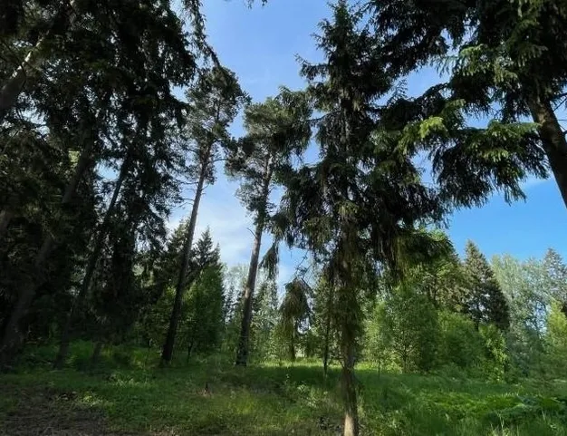 участок  в КП СНТ Усадьба, 20 км от МКАД