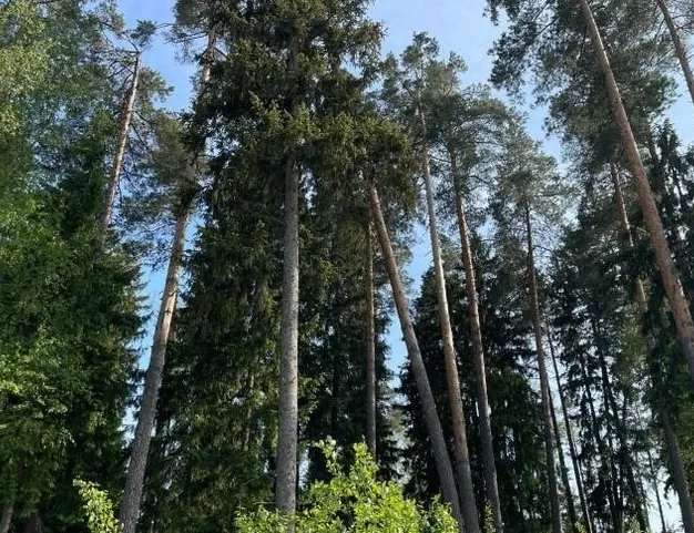 участок  в КП СНТ Усадьба, 20 км от МКАД