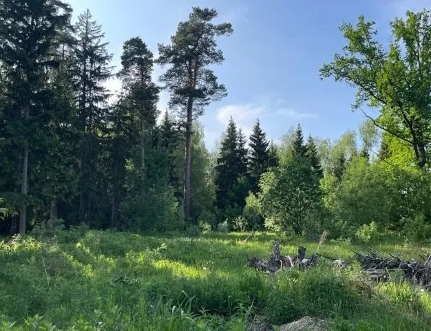 участок  в КП СНТ Усадьба, 20 км от МКАД