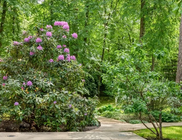 участок  в КП Жуковка, 9 км от МКАД