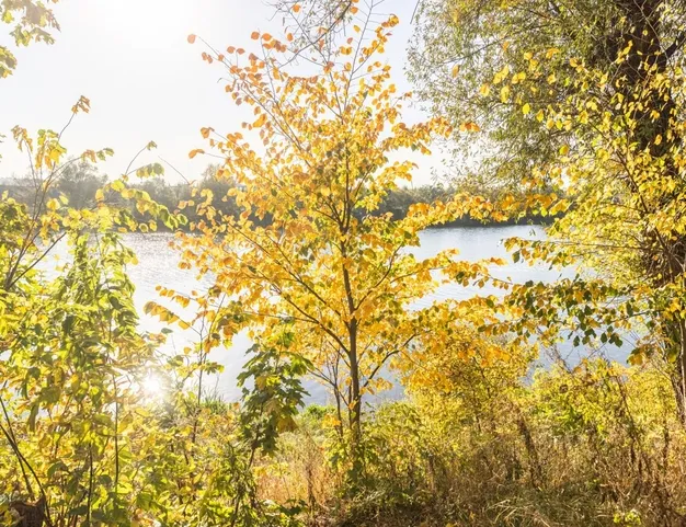 дом  в КП Ильинское, 10 км от МКАД