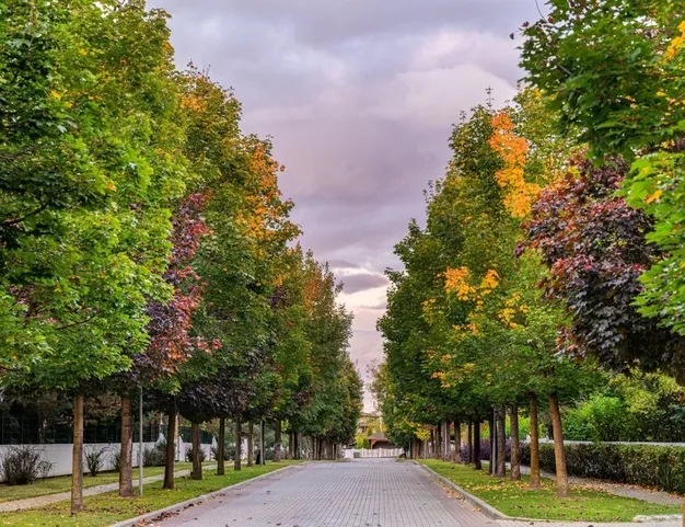 участок  в КП Резиденции Бенилюкс, 19 км от МКАД