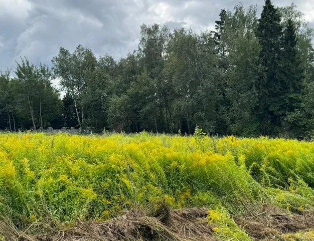 участок  в КП Бузланово, 16 км от МКАД