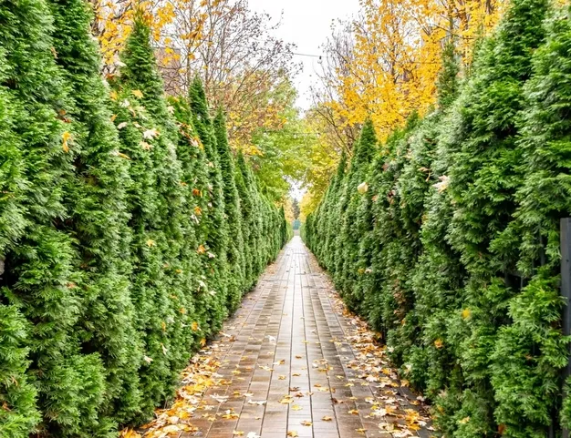 дом , 0 км от МКАД