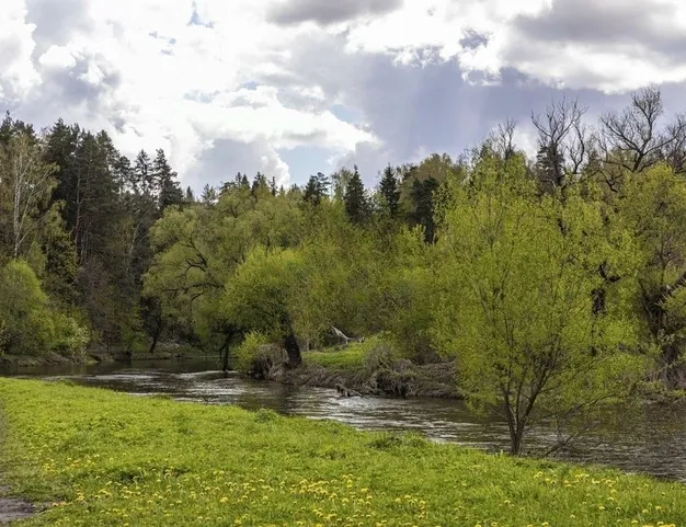 дом  в КП Рига парк, 25 км от МКАД