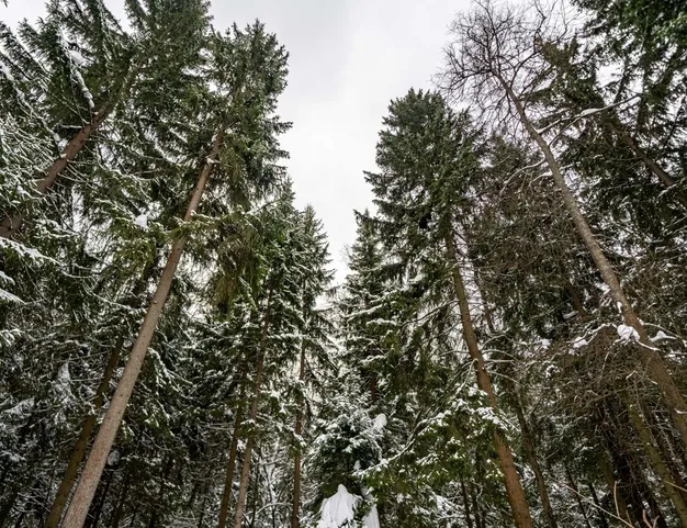 дом  в КП Новая Рожновка, 15 км от МКАД