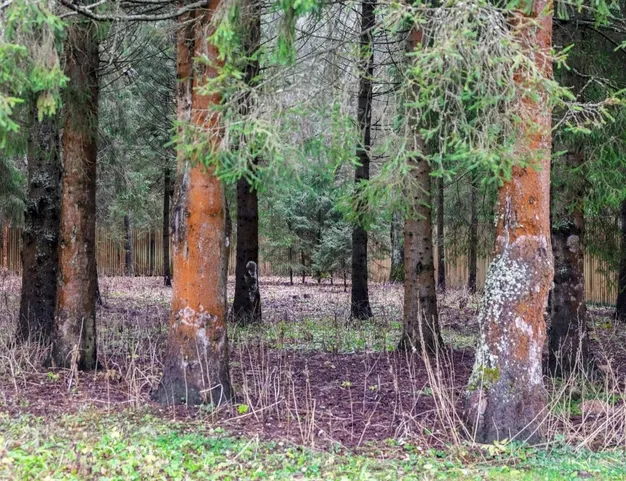 дом  в КП Финская Деревня, 43 км от МКАД