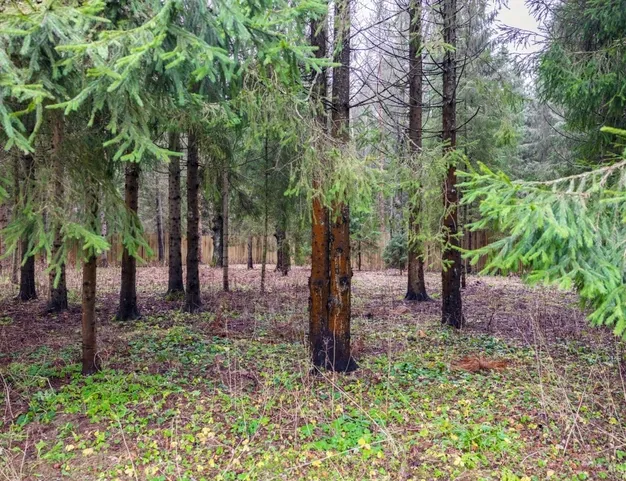 дом  в КП Финская Деревня, 43 км от МКАД