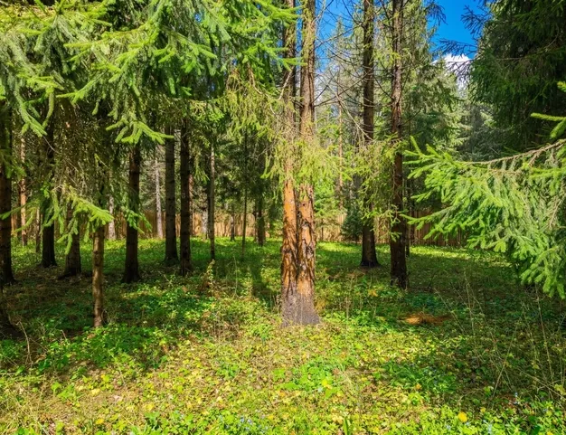 дом  в КП Финская Деревня, 43 км от МКАД