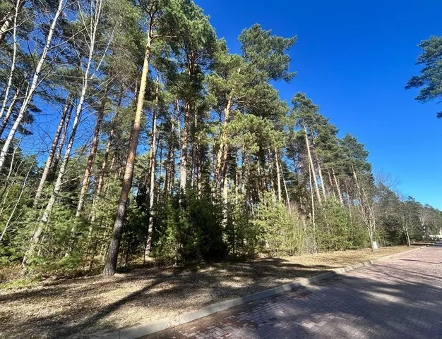 участок  в КП Сосновый Бор, 23 км от МКАД