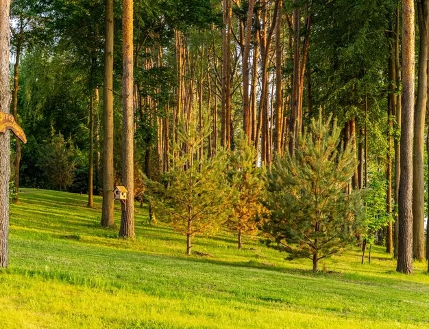 дом , 55 км от МКАД
