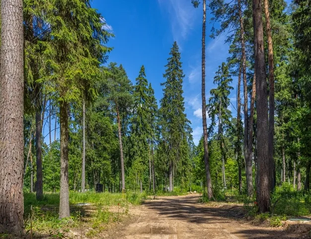 участок  в КП Николина гора, 25 км от МКАД