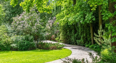 Жуковка, 8 от МКАД