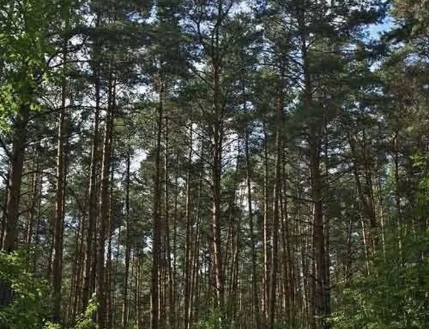 участок  в КП Дарьино, 27 км от МКАД