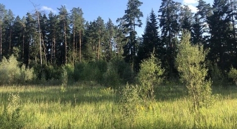 СНТ Усадьба, 20 от МКАД