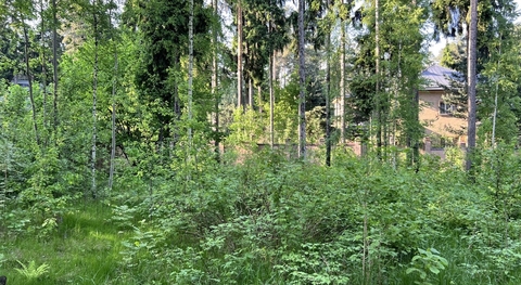 Грибово, 12 от МКАД