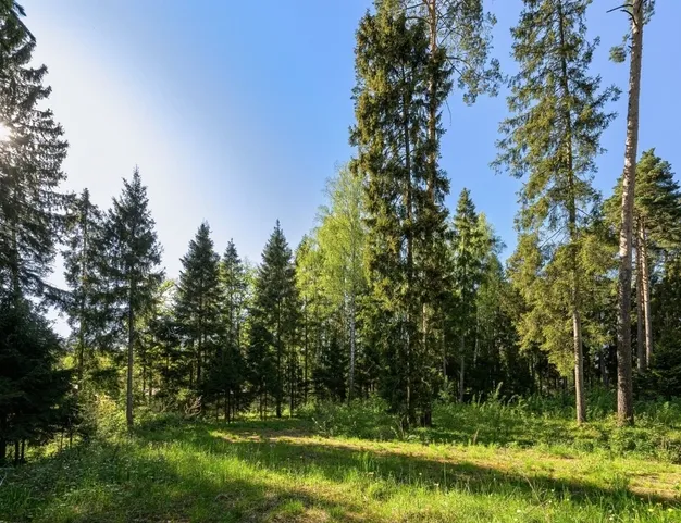 участок  в КП Геодар, 26 км от МКАД