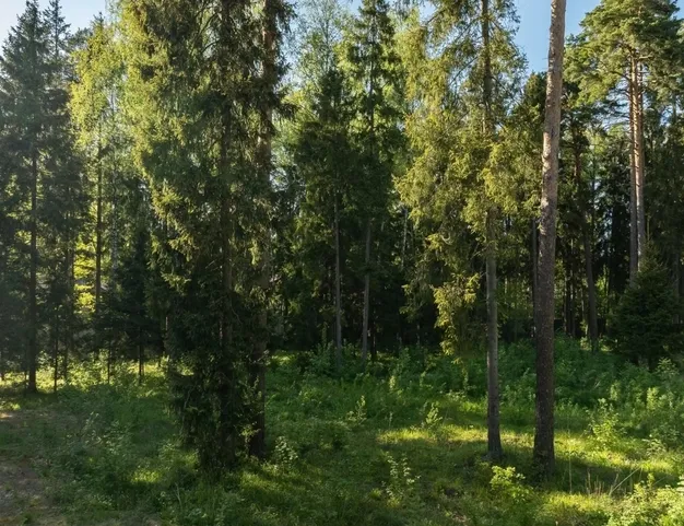 участок  в КП Геодар, 26 км от МКАД