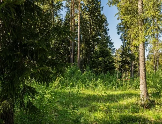 участок  в КП Геодар, 26 км от МКАД