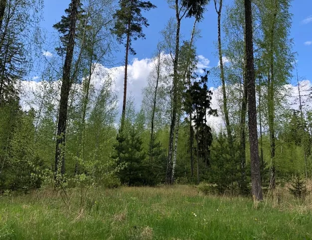 участок  в КП Лесные Зори, 25 км от МКАД