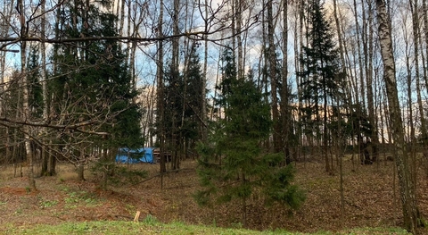 Лесные Зори, 25 от МКАД