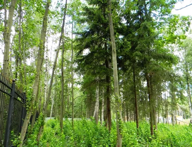 участок  в КП Madison Park, 24 км от МКАД