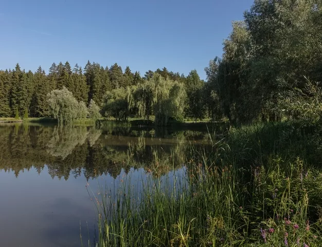 дом  в КП Глуховка, 60 км от МКАД